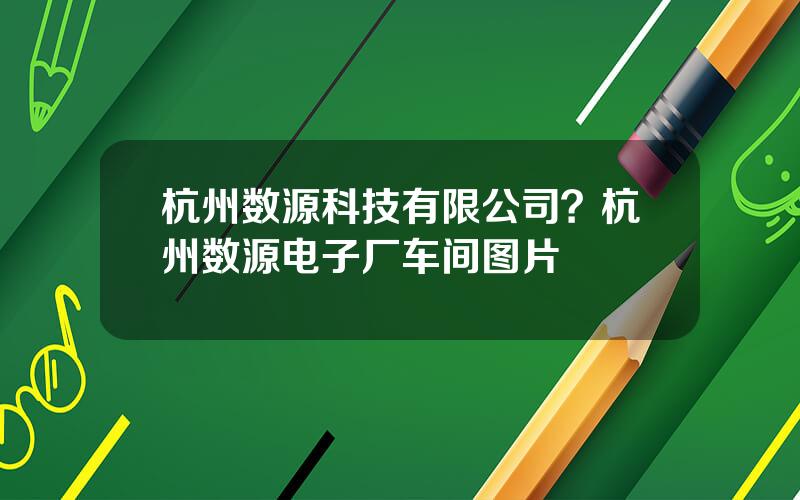 杭州数源科技有限公司？杭州数源电子厂车间图片