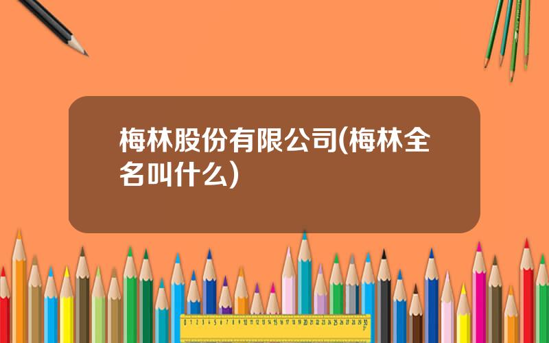 梅林股份有限公司(梅林全名叫什么)