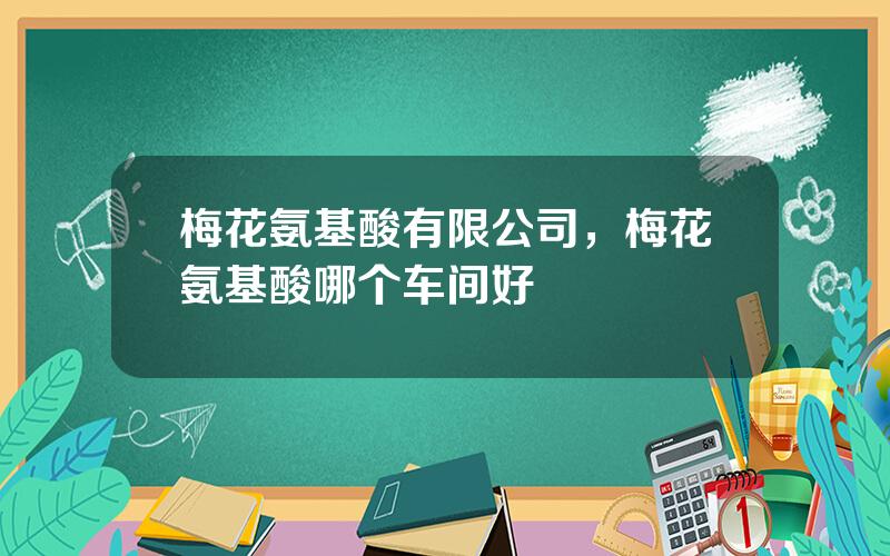 梅花氨基酸有限公司，梅花氨基酸哪个车间好