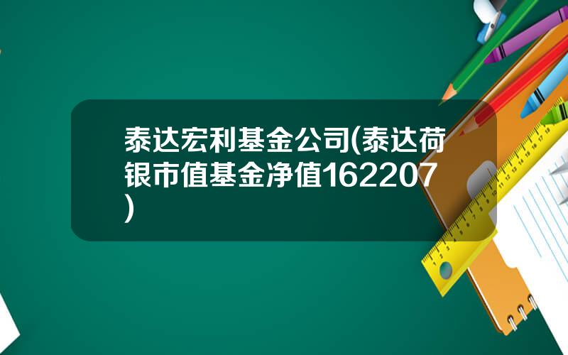 泰达宏利基金公司(泰达荷银市值基金净值162207)