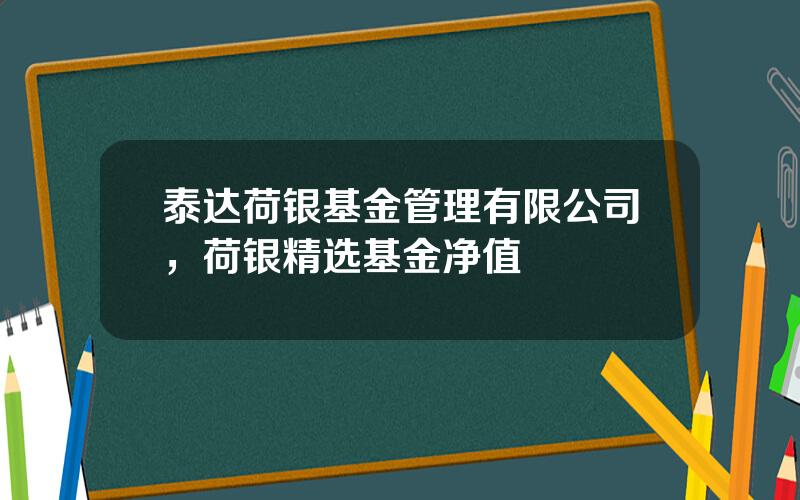 泰达荷银基金管理有限公司，荷银精选基金净值