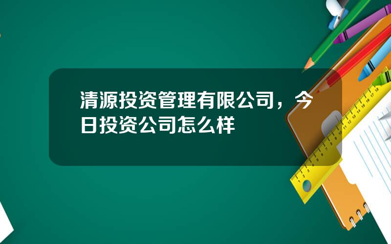 清源投资管理有限公司，今日投资公司怎么样