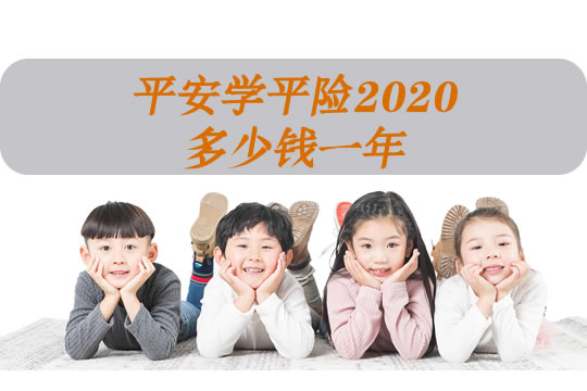 平安学平险2020多少钱一年？报销范围？2020年学平险交多少钱？_1